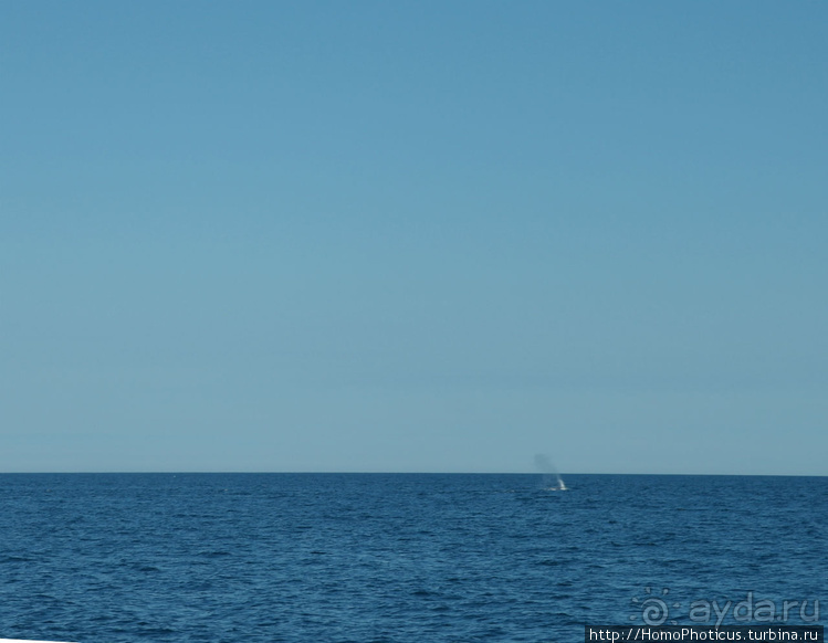 Большая горячая ледяная земля. 2. Против часовой стрелки