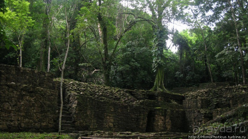 Резиденция Пакаля