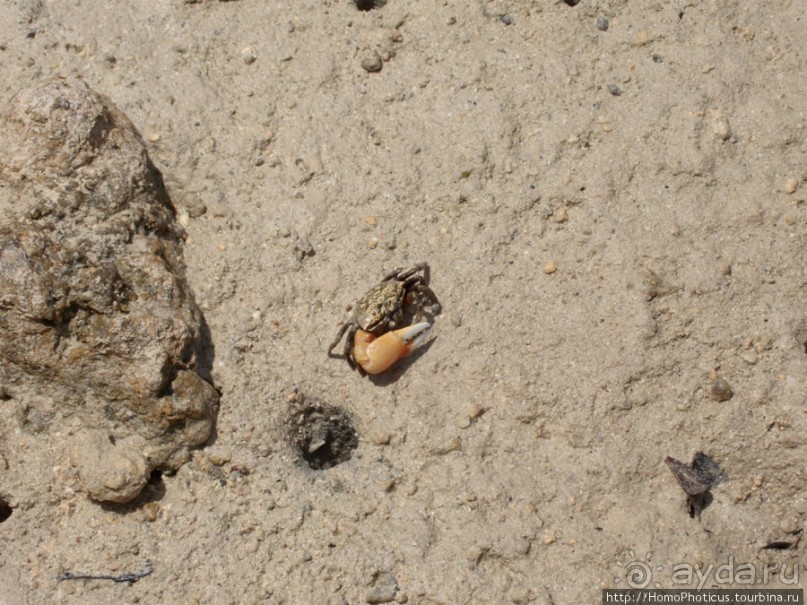 Самое-самое в Синае: Рас-Мухаммед