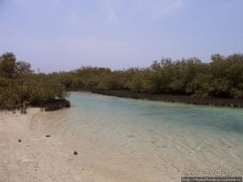 Самое-самое в Синае: Рас-Мухаммед