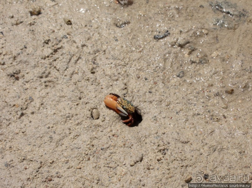 Самое-самое в Синае: Рас-Мухаммед