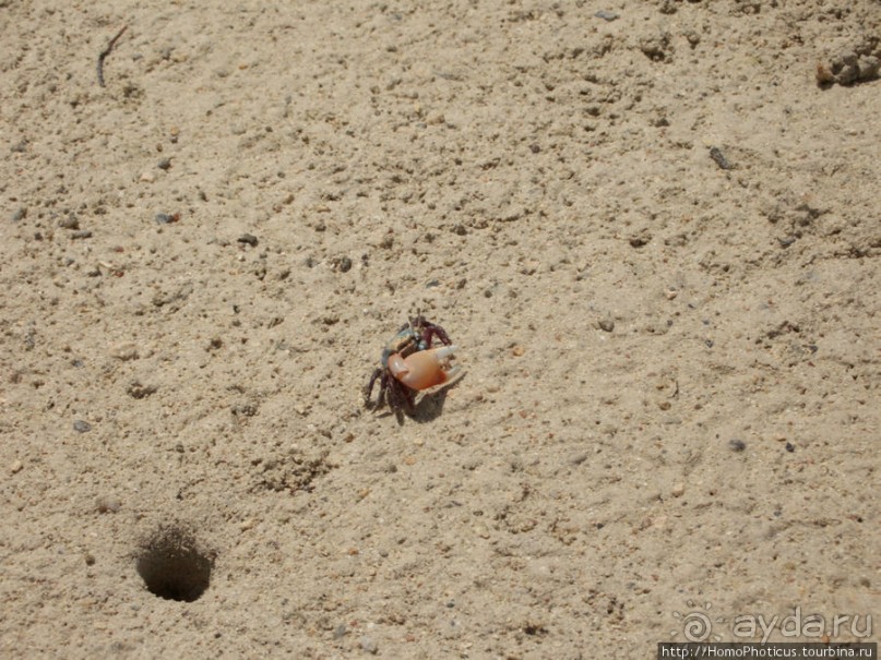 Самое-самое в Синае: Рас-Мухаммед
