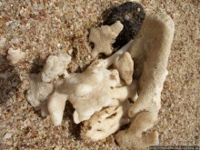 Самое-самое в Синае: Рас-Мухаммед