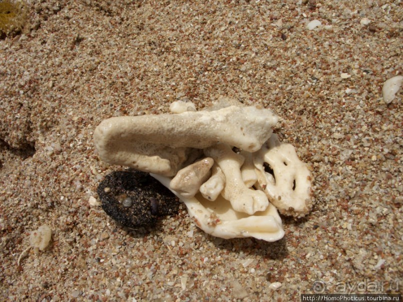 Самое-самое в Синае: Рас-Мухаммед