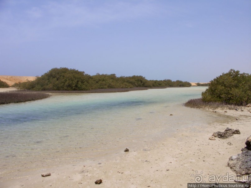 Самое-самое в Синае: Рас-Мухаммед