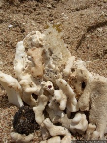 Самое-самое в Синае: Рас-Мухаммед