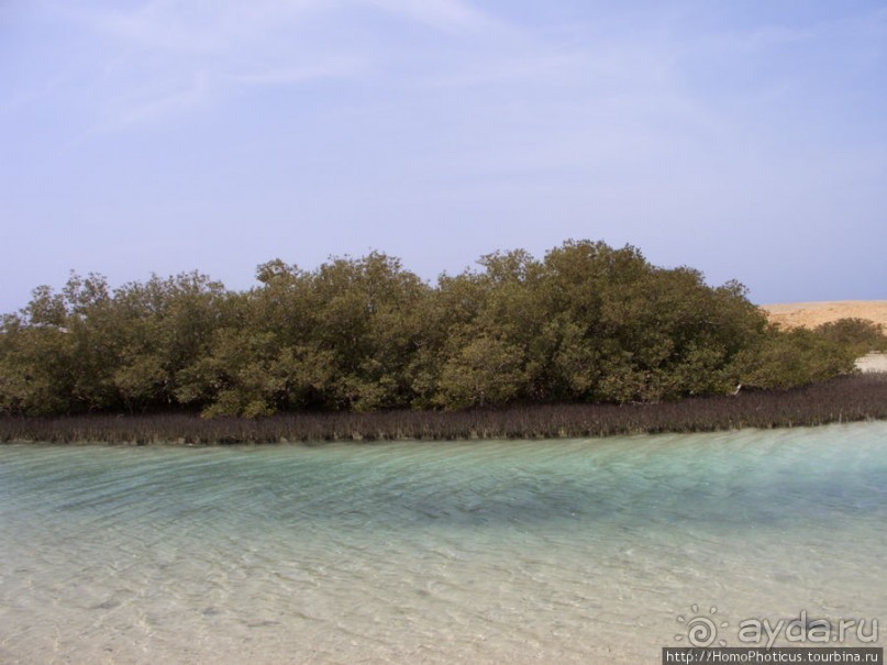 Самое-самое в Синае: Рас-Мухаммед