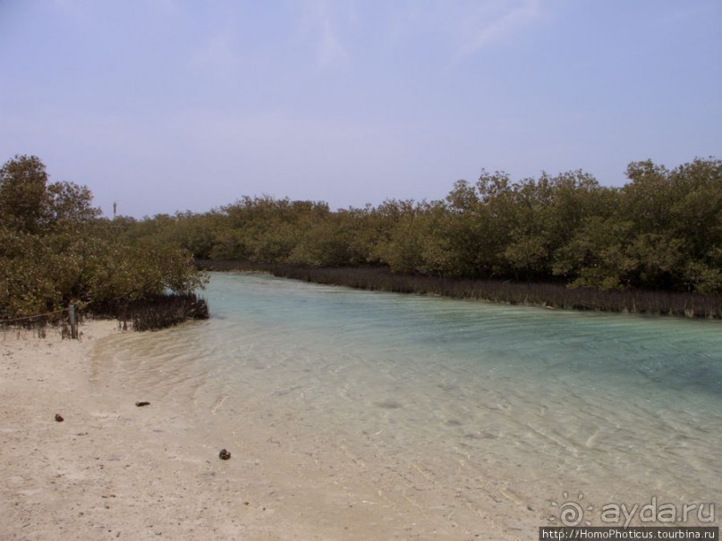 Самое-самое в Синае: Рас-Мухаммед