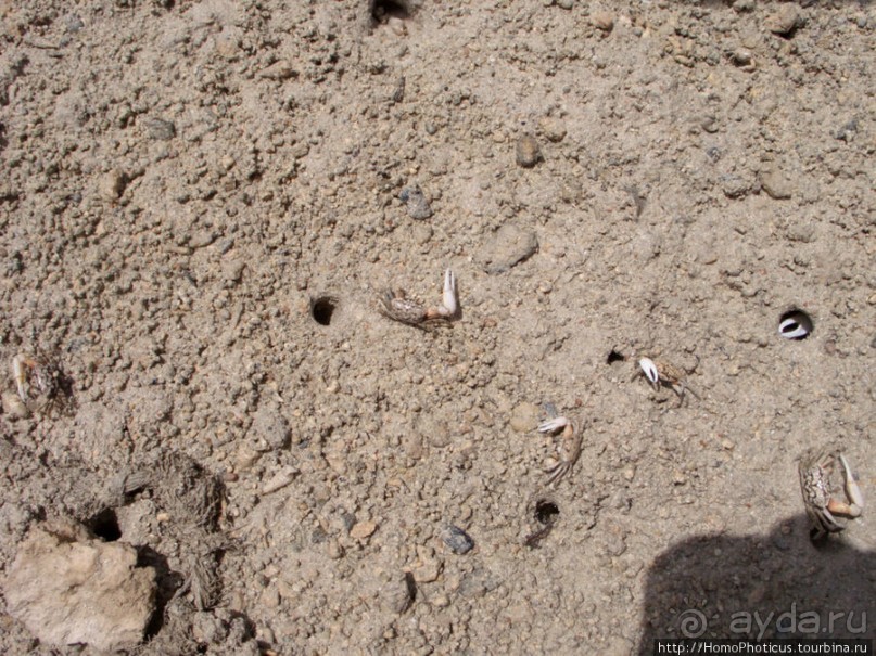 Самое-самое в Синае: Рас-Мухаммед