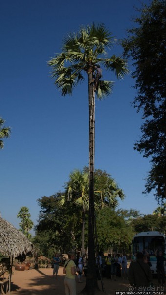 Сокровища Мьянмы. III. Бриллианты ступ Багана