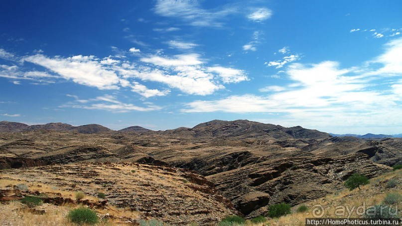 Тропик Козерога: слоеные горы и хамелеон как он есть