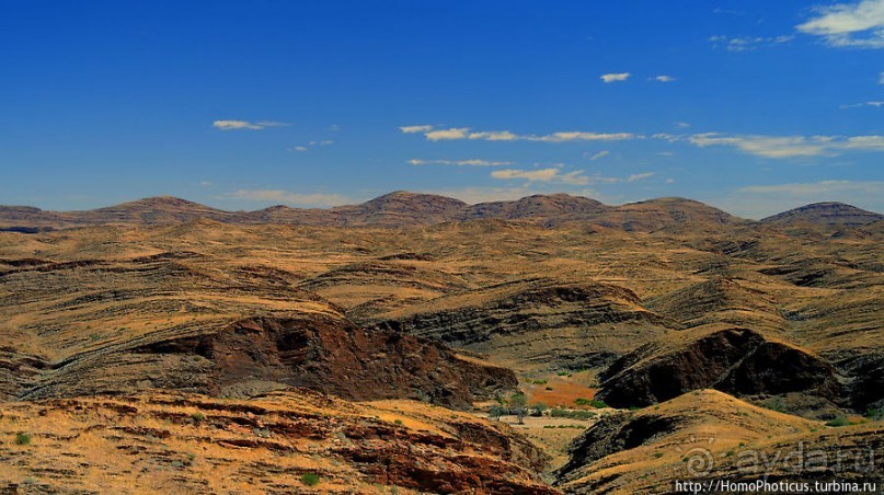 Тропик Козерога: слоеные горы и хамелеон как он есть
