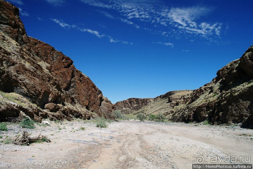Тропик Козерога: слоеные горы и хамелеон как он есть