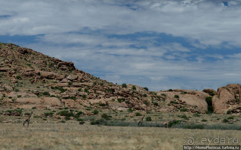 Тропик Козерога: слоеные горы и хамелеон как он есть
