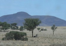 Тропик Козерога: слоеные горы и хамелеон как он есть