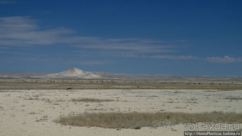 Тропик Козерога: слоеные горы и хамелеон как он есть Тропик Козерога: слоеные горы и хамелеон как он есть