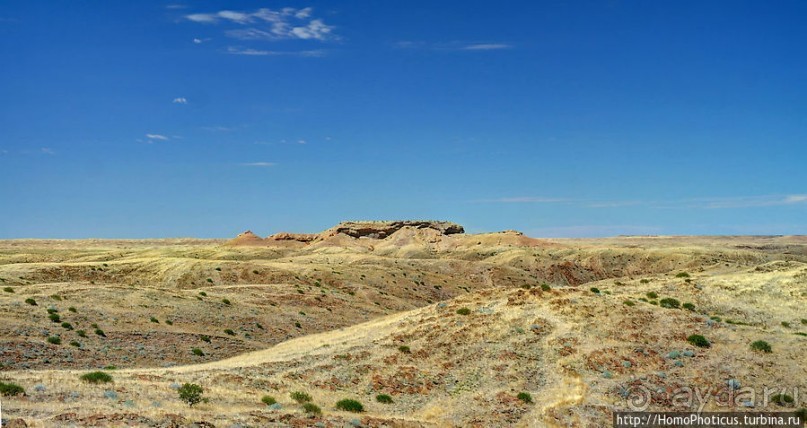 Тропик Козерога: слоеные горы и хамелеон как он есть