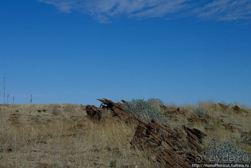 Тропик Козерога: слоеные горы и хамелеон как он есть Тропик Козерога: слоеные горы и хамелеон как он есть