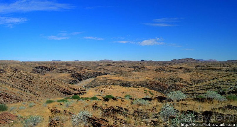 Тропик Козерога: слоеные горы и хамелеон как он есть