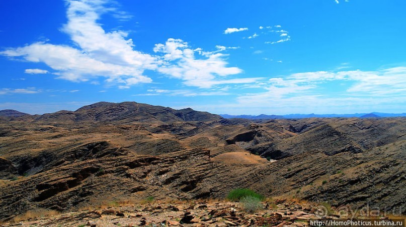 Тропик Козерога: слоеные горы и хамелеон как он есть