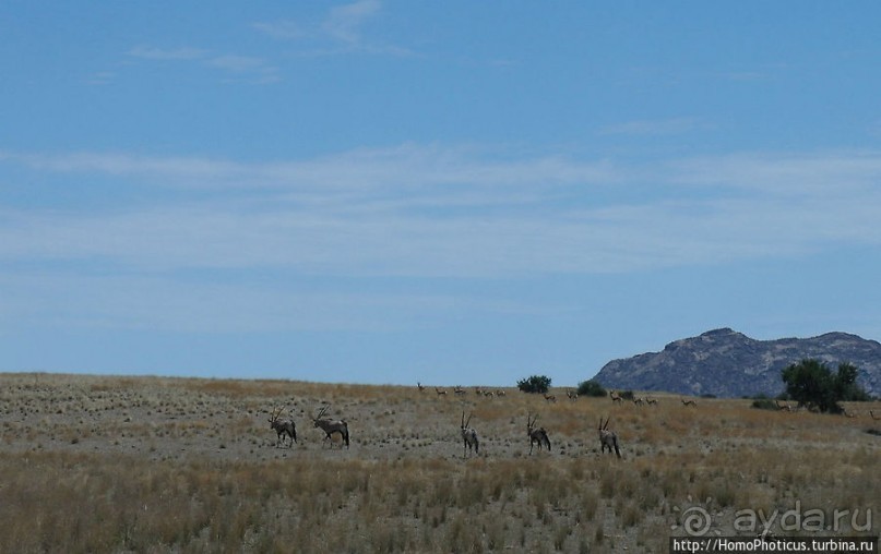 Тропик Козерога: слоеные горы и хамелеон как он есть