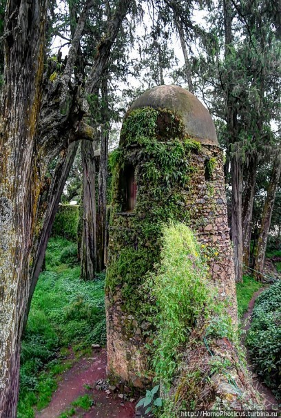 Гондэр: храм Троицы на горе света и бани Крещения