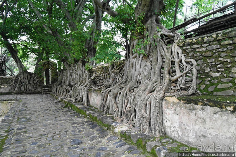 Гондэр: храм Троицы на горе света и бани Крещения