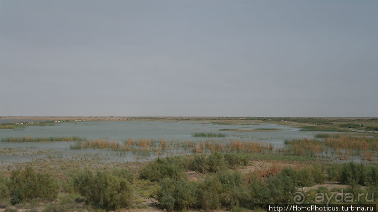Месопотамские зарисовки. Ч.3 Южный Ирак и снова Багдад