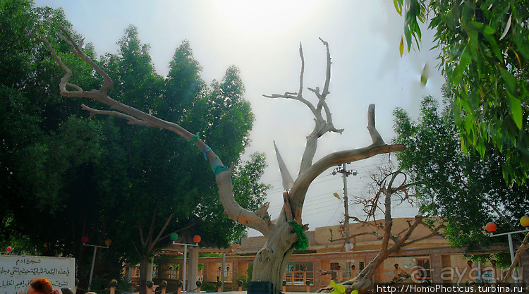 Месопотамские зарисовки. Ч.3 Южный Ирак и снова Багдад