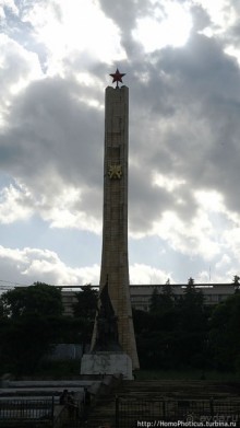 Новый цветок