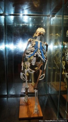 Новый цветок