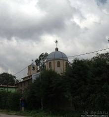 Новый цветок