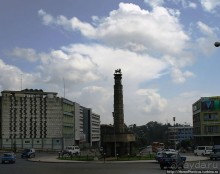 Новый цветок