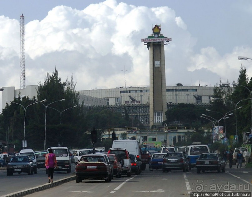 Новый цветок