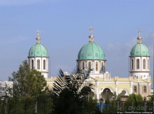 Новый цветок