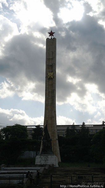 Новый цветок