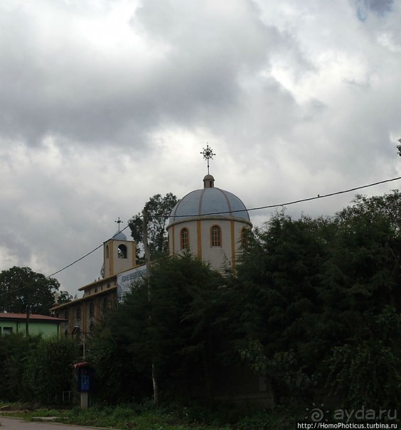 Новый цветок