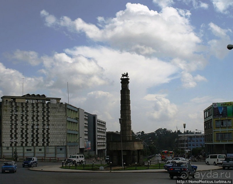 Новый цветок