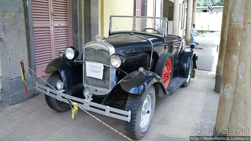 Новый цветок