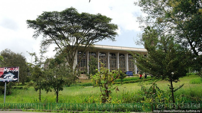 Новый цветок