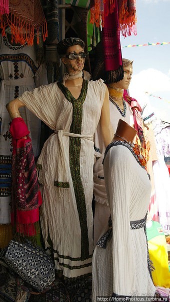 Новый цветок