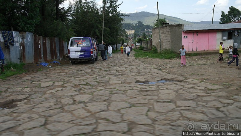 Новый цветок