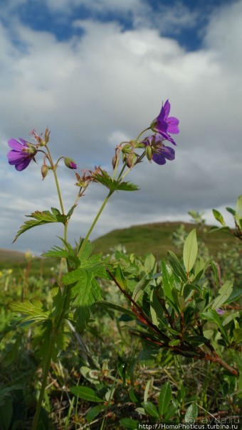 Ледниковое ущелье