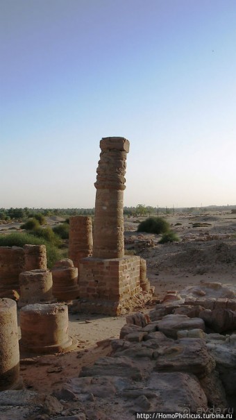 Место прописки Амона