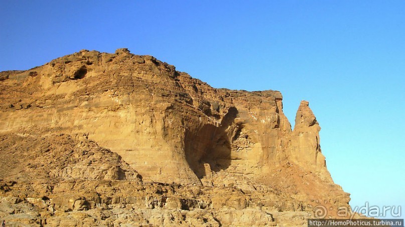 Место прописки Амона