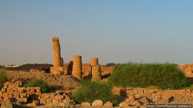 Место прописки Амона