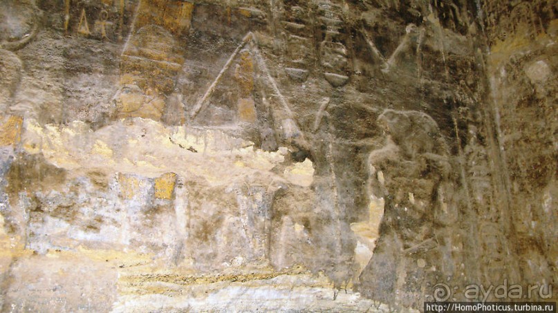 Место прописки Амона