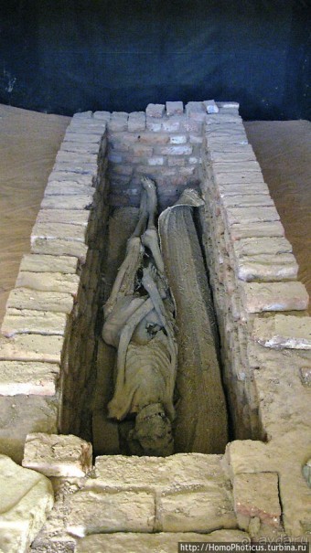 Место прописки Амона