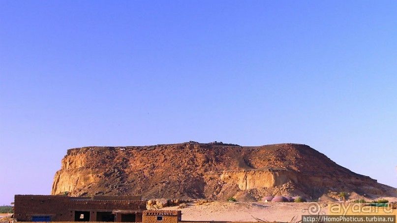 Место прописки Амона