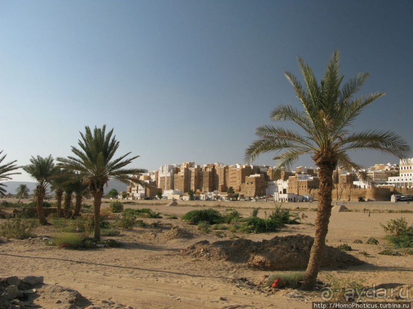 Небоскребы, небоскребы, да из глины кирпичи